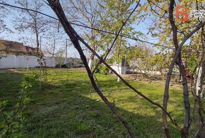 Casă individuală cu 5 camere cu Teren 1789 Mp în Checea - 17