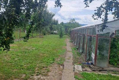 Casă cu 4 camere cu Teren 1277 Mp în Central - 3