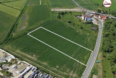 Teren Construcții intravilan de 6500 mp, în Colonia Bod - 3