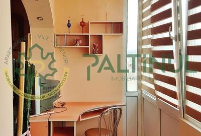 Apartament cu 2 camere semidecomandat, mobilat în Mihai Viteazul - 3