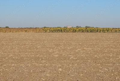 Teren de 1792 mp, în 1 Decembrie - 3