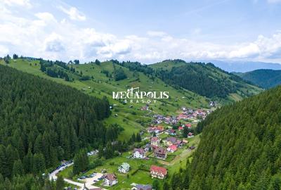 Teren Construcții intravilan de 12307 mp, în Moieciu de Sus - 11