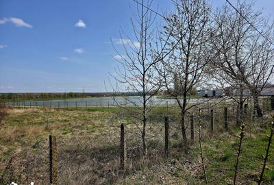 Teren de 7000 mp, în Girov - 12