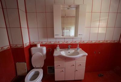 Casă cu 6 camere cu Teren 2900 Mp în Olteni - 7