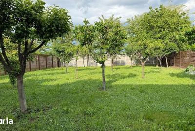 Casă cu 4 camere cu Teren 460 Mp în Snagov - 14