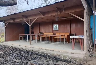 Teren de 8138 mp, în Periferie - 10