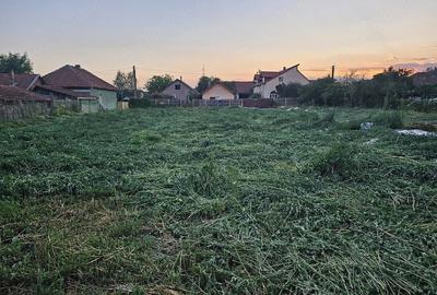 Teren de 2000 mp, în Băcia