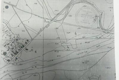 Teren de 8900 mp, în Ciolpani - 3
