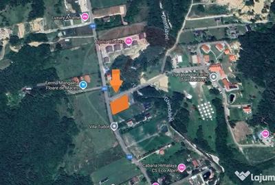 Teren de 1600 mp, în Glăjărie - 5