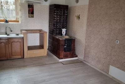 Casă cu 6 camere cu Teren 1724 Mp în Adâncata