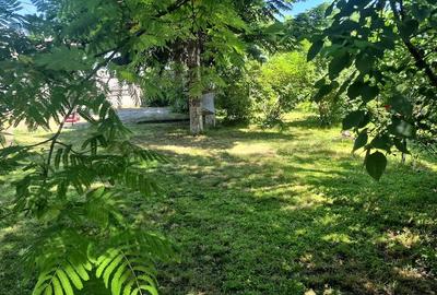 Casă cu Teren 1600 Mp în Nord - 2