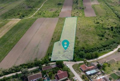 Teren de 5000 mp, în Urseni - 2