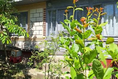 Casă cu 4 camere cu Teren 2093 Mp în Murgești