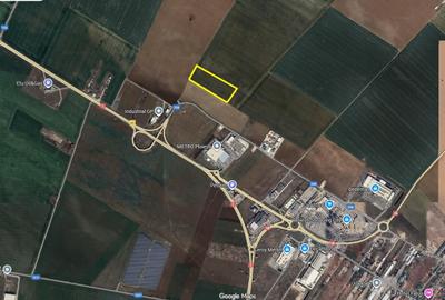 Teren agricol extravilan de 39144 mp, în Păulești - 5