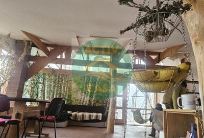 Casă cu 3 camere cu Teren 1470 Mp în Cotu Vameș - 4