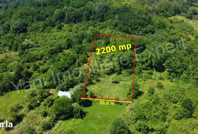 Teren de 2200 mp, în Ciofrângeni