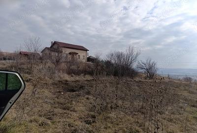Teren de 967 mp, în Central