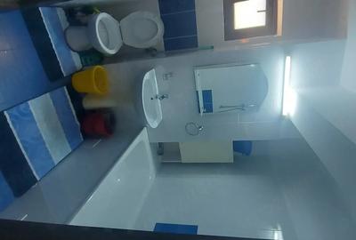 Garsonieră decomandată în Podul de Fier - 7