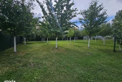 Casă cu 3 camere în Căpușu Mic