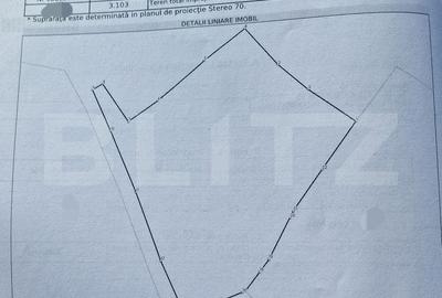 Teren de 3103 mp, în Beliș