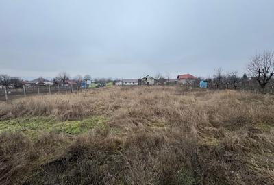 Teren Construcții intravilan de 1800 mp, în Țigănași - 6