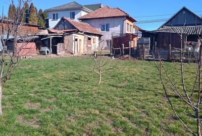 Casă cu 3 camere cu Teren 1436 Mp în Apahida - 4