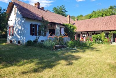 Casă cu 7 camere cu Teren 9948 Mp în Căpățânenii Ungureni