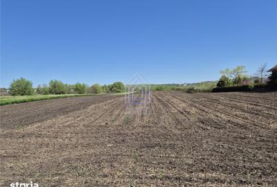 Teren de 5100 mp, în Moara - 2
