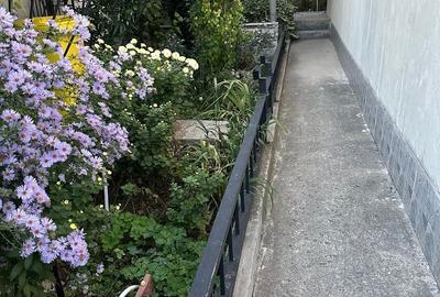 Casă cu 2 camere în Rahova