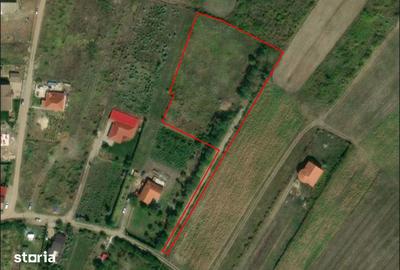 Teren de 5000 mp, în Paleu