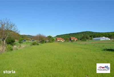 Teren de 6382 mp, în Livezeni - 6