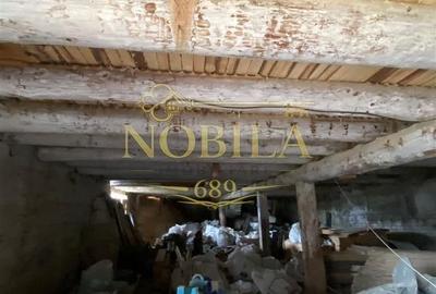 Spațiu comercial, în Agăș - 10