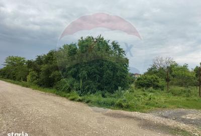 Teren de 3700 mp, în Tărtășești - 3