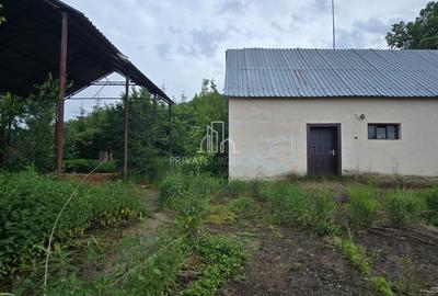 Teren agricol extravilan de 17234 mp, în Est - 4
