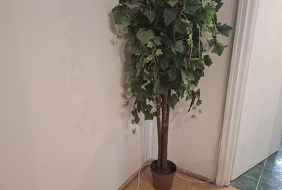 Apartament cu 2 camere în Central - 4
