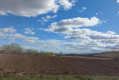 Teren de 2600 mp, în Reuseni - 6