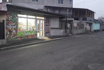 Casă cu 8 camere cu Teren 180 Mp în Ferentari