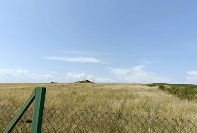 Teren agricol extravilan de 4527 mp, în Exterior Nord - 5