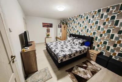Garsonieră semidecomandată în Craiovița Nouă - 2