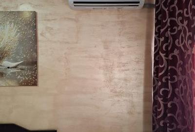 Garsonieră în Podari - 4