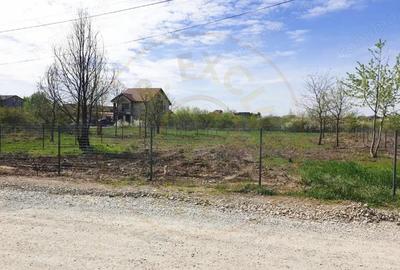 Teren de 854 mp, în Mogoșoaia - 2