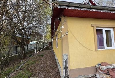 Casă cu Teren 10000 Mp în Nereju - 1
