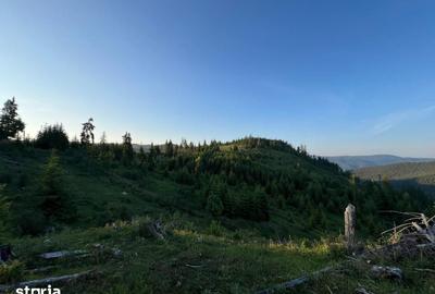 Teren de 500000 mp, în Ciocănești - 11