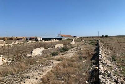 Teren intravilan de 12481 mp, în Mihail Kogălniceanu - 5