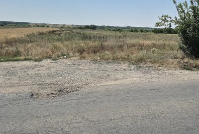 Teren de 3700 mp, în Sadina - 2
