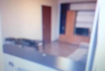 Apartament cu 2 camere, mobilat în Vatra Luminoasă - 2