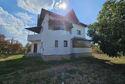 Casă cu 4 camere în Vedea