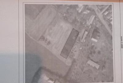 Teren de 1117 mp, în Cotorca