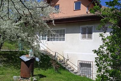 Casă cu 3 camere cu Teren 740 Mp în Măgura