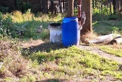 Casă cu 2 camere cu Teren 1471 Mp în Ciolănești
